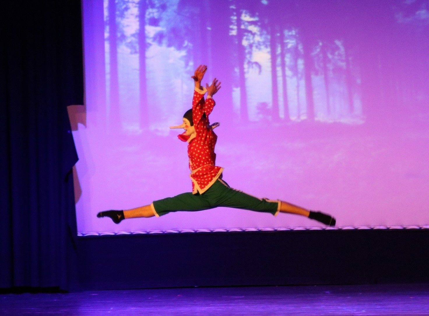 Pinocchio il musical 2-min